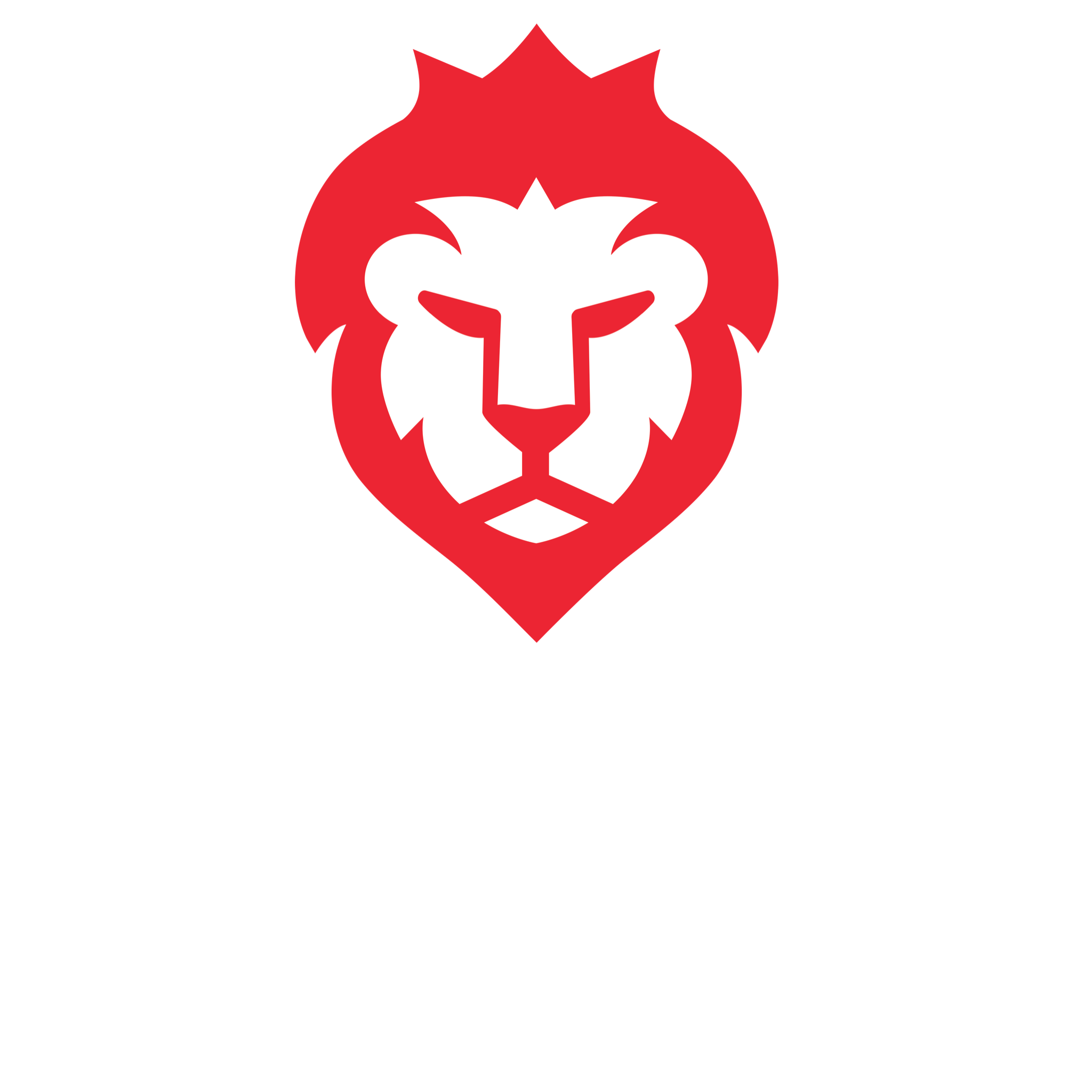 LionStudiosLogo